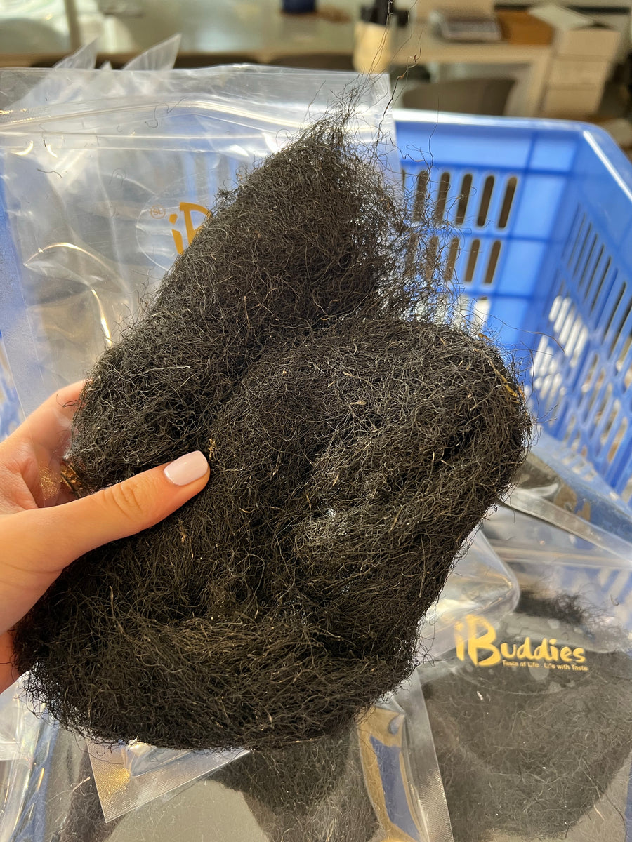 Chinese "Fat Choi"/ 頂級野生髮菜 – iBuddies